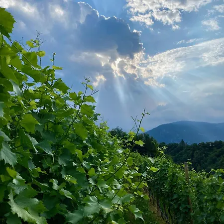 Apartment Spiegelhof Appiano Sulla Strada Del Vino