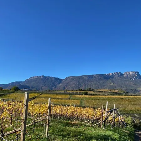 Apartment Spiegelhof Appiano Sulla Strada Del Vino