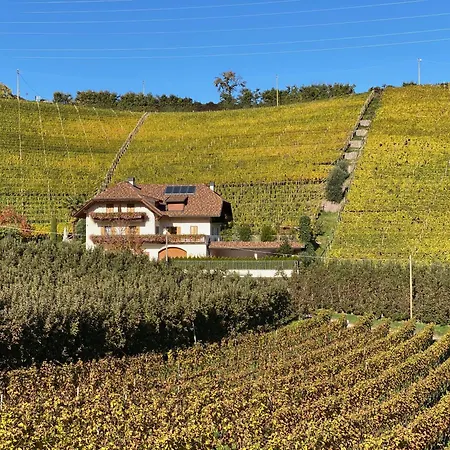 Spiegelhof Apartment Appiano Sulla Strada Del Vino